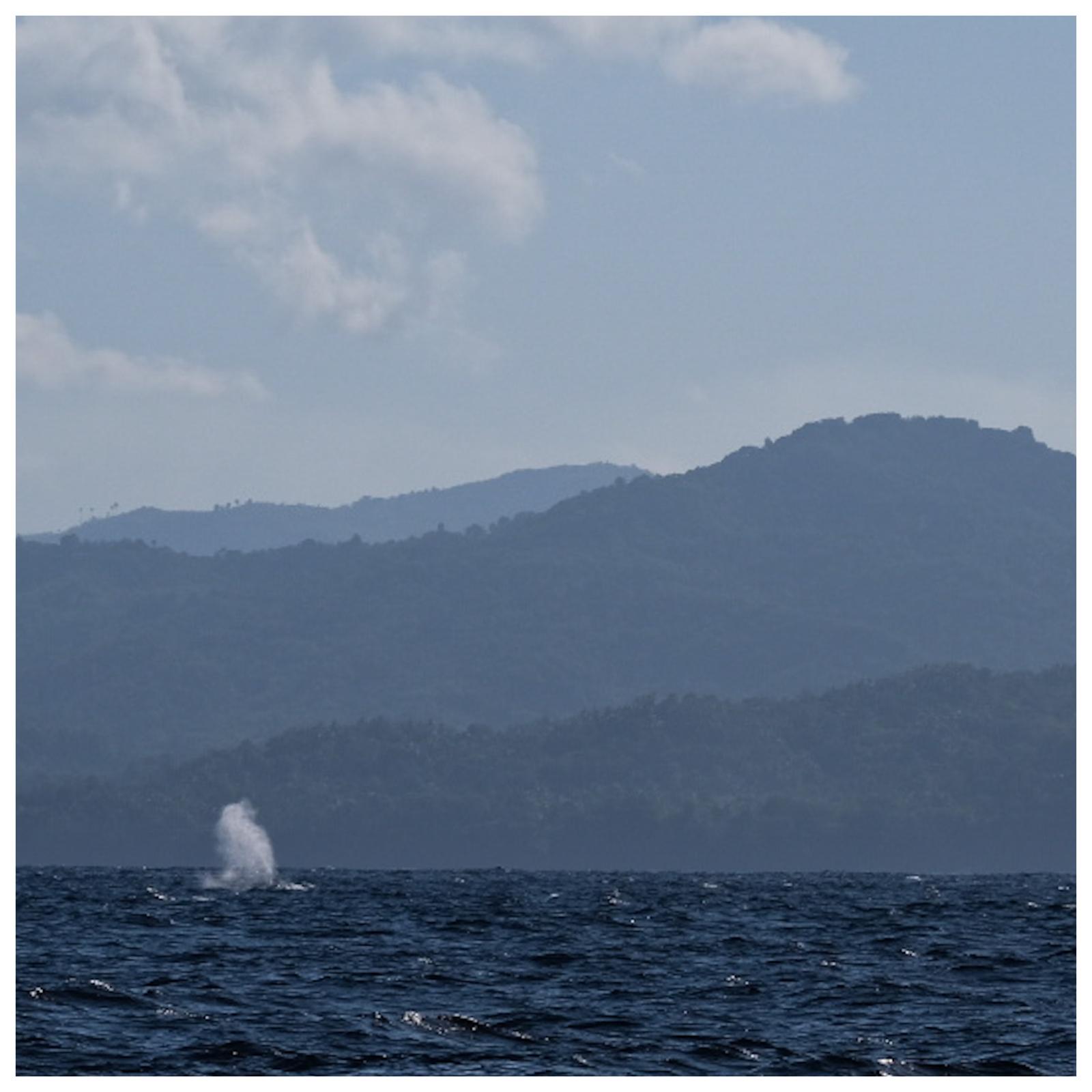 Momen Laut Sawu 5